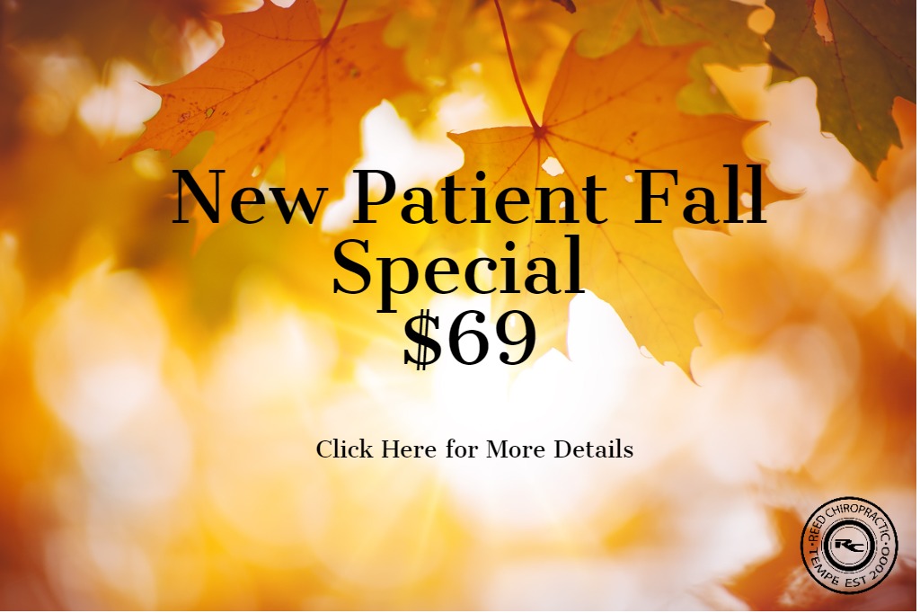 Fall New Patient Special $69