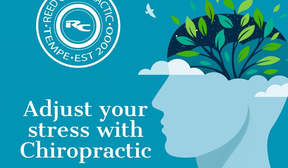 Adjust your Stress with Chiropractic