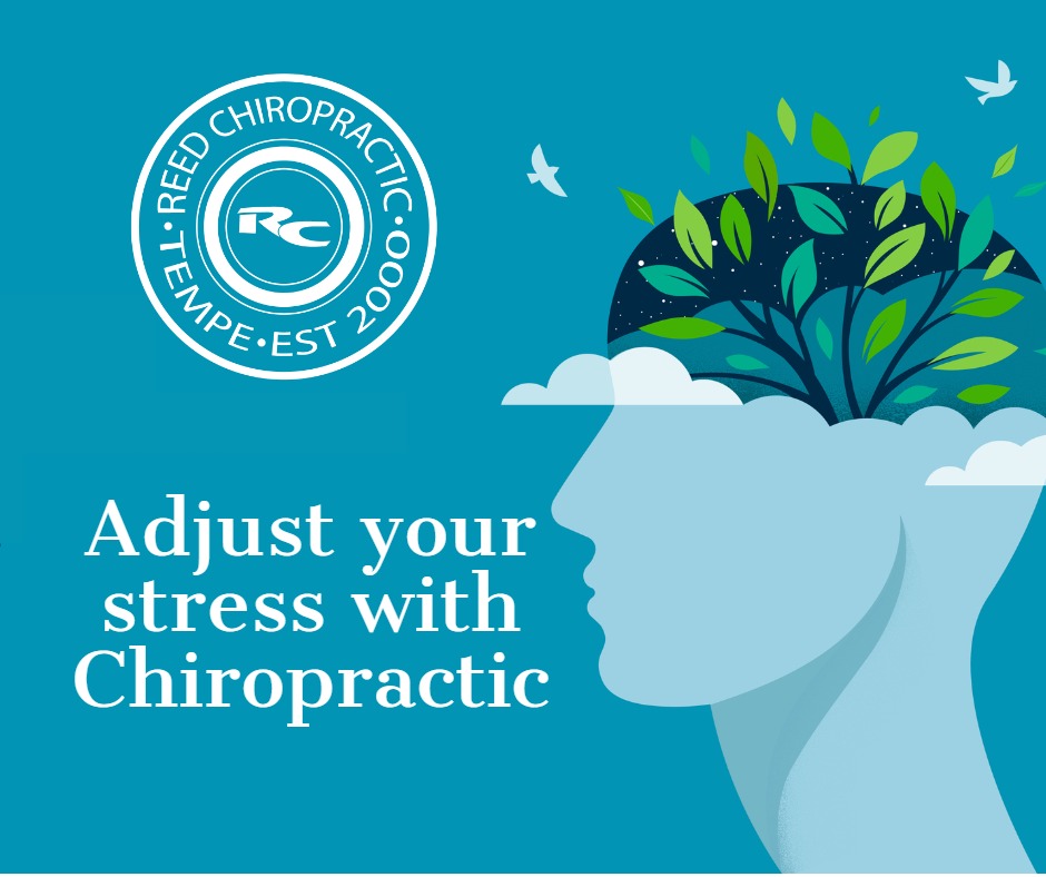 Adjust your Stress with Chiropractic