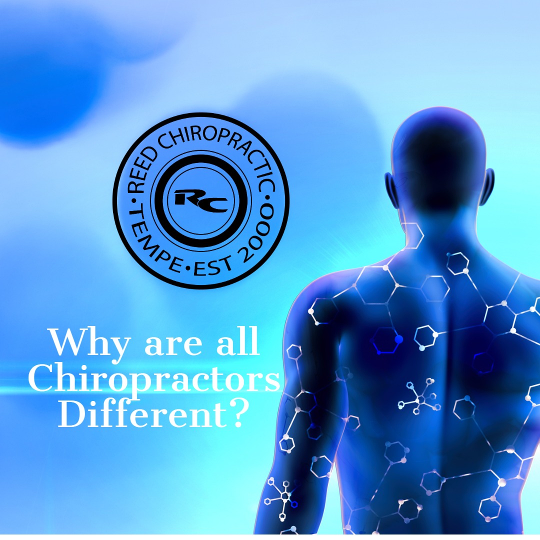 Why are all Chiropractors different?
